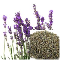 Lavender, 4oz, soap making supplies, also for herbal extracts, tinctures, teas, salves, creams, lotions or lip balms.