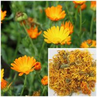 Calendula flowers, 4 oz, for soap, creams, lotions or lip balms.